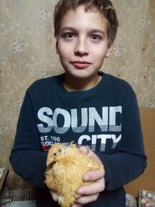Бурковский Кузьма, 11 лет